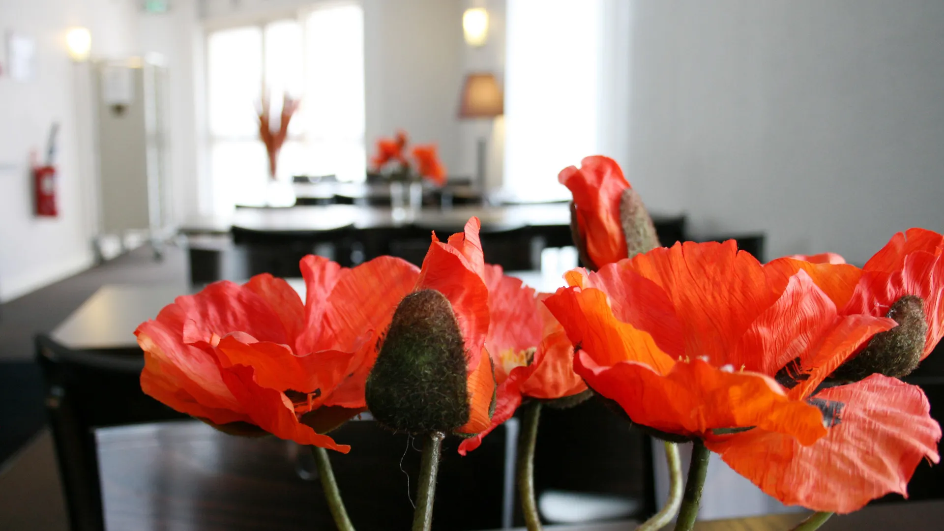 Hotel Ibis Paris Nation Davout Francja